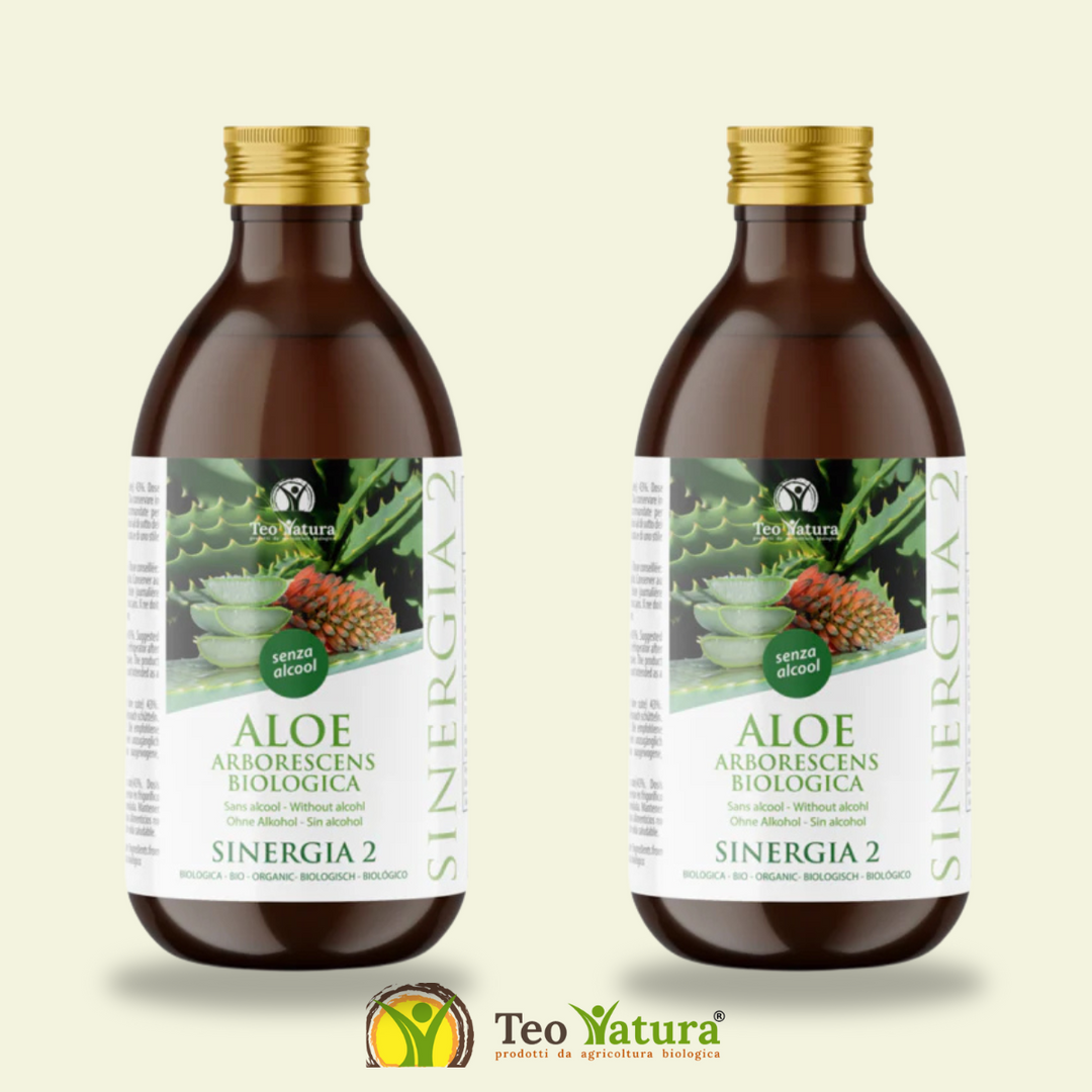 Aloe Arborescens Padre Zago Ricetta Sinergia 2 Promozione Litro