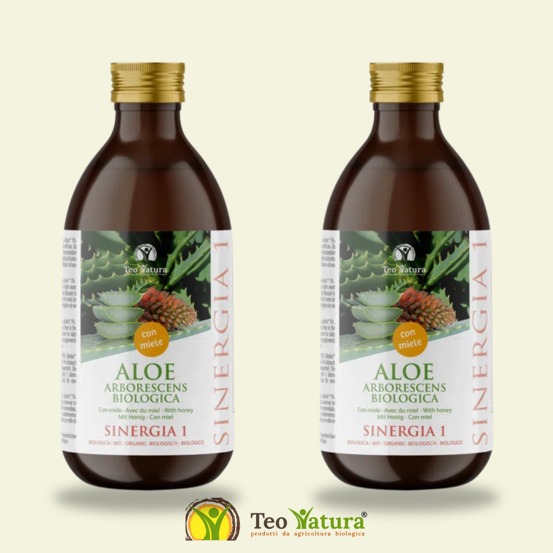 Aloe Arborescens Padre Zago Ricetta Sinergia 1 Promozione Litro