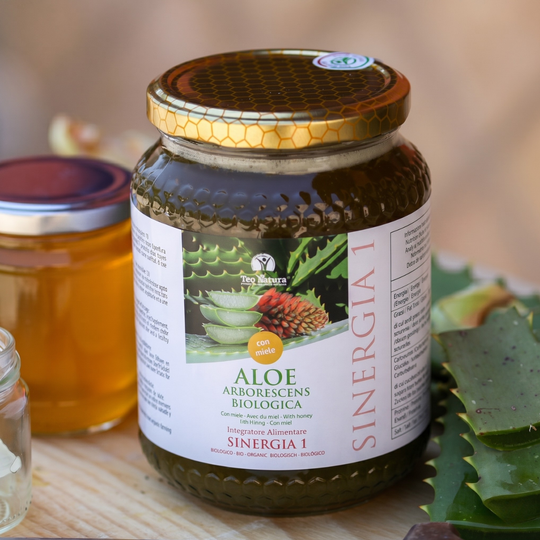 Aloe Arborescens e Miele, Ricetta del Frate, Padre Romano Zago | 750ml