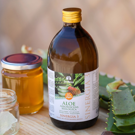 Aloe Arborescens Ricetta Padre Zago Con Succo D&