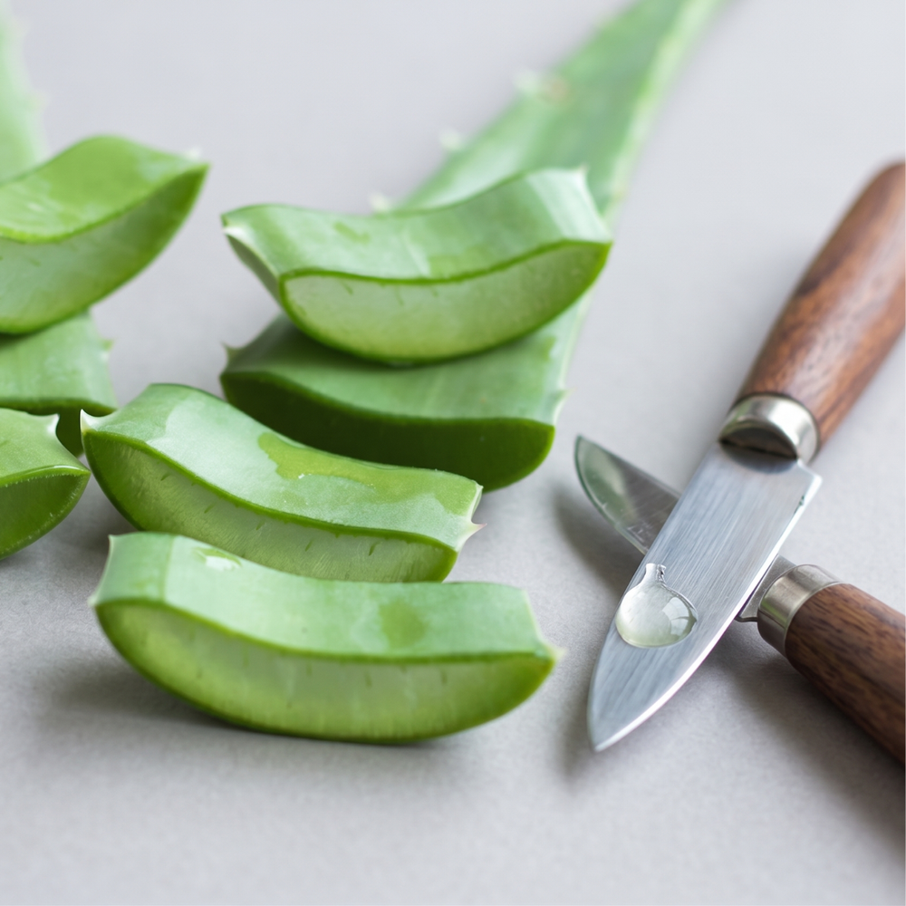 Foglie di Aloe Vera (o barbadensis) BIO