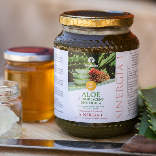 Aloe Arborescens e Miele, Ricetta del Frate, Padre Romano Zago | 750ml