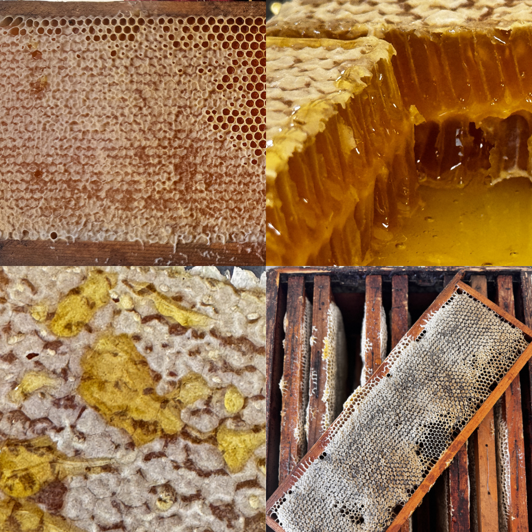 Miele Millefiori Biologico in Favo (200g)