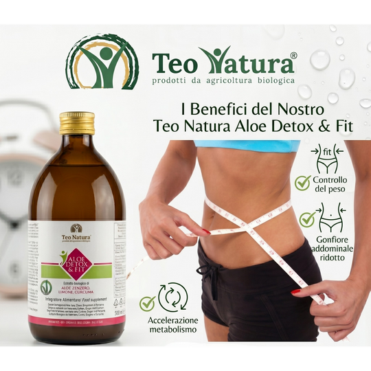 Detox &amp; Fit – Succo Bio Aloe Vera, Zenzero, Limone e Curcuma | Depurativo e Digestivo