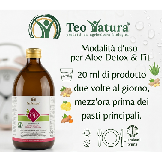 Detox &amp; Fit – Succo Bio Aloe Vera, Zenzero, Limone e Curcuma | Depurativo e Digestivo