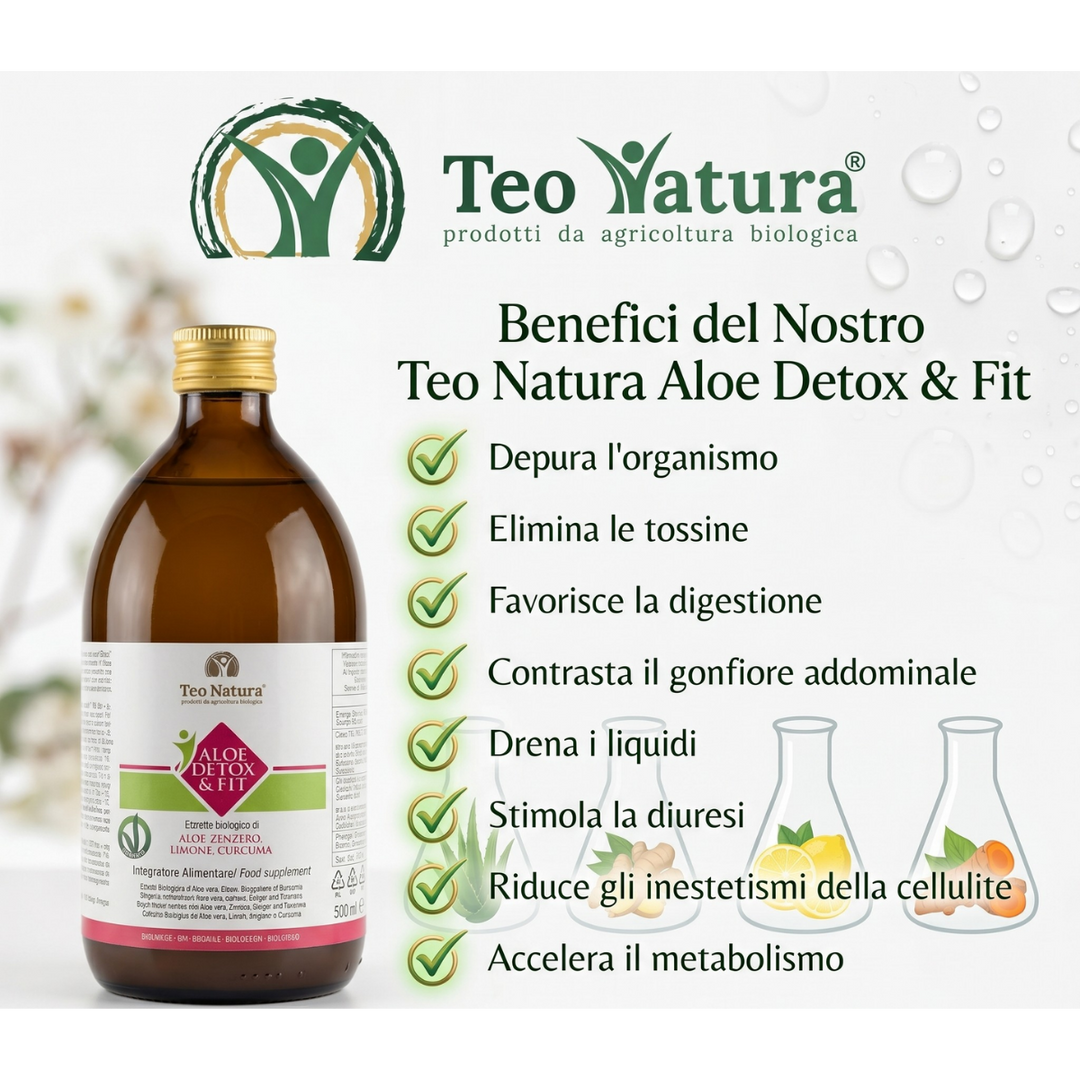 Detox &amp; Fit – Succo Bio Aloe Vera, Zenzero, Limone e Curcuma | Depurativo e Digestivo