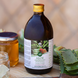 Aloès Arborescent et Miel Père Zago | SYNERGIE 2 | 500ml - Sans Alcool