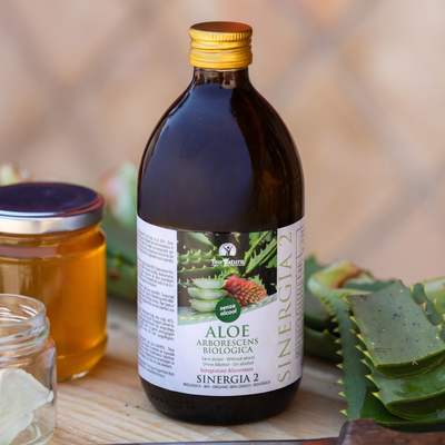 Aloès Arborescent et Miel Père Zago | SYNERGIE 2 | 500ml - Sans Alcool