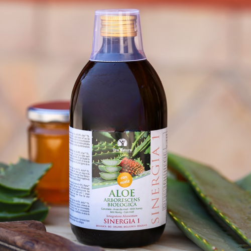 Aloe Arborescens e Miele, Ricetta del Frate, Padre Romano Zago | 500ml