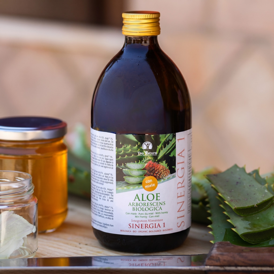 Aloe Arborescens e Miele, Ricetta del Frate, Padre Romano Zago | 500ml