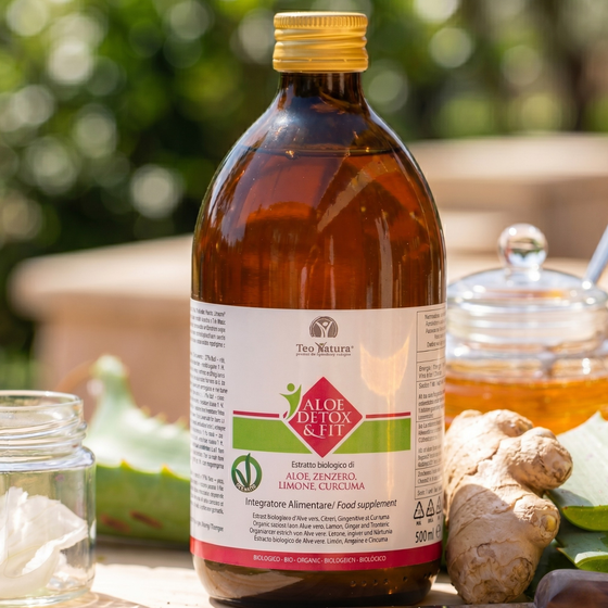 Détox & Fit – Jus Bio Aloé Véra, Gingembre, Citron et Curcuma | Dépuratif et Digestif