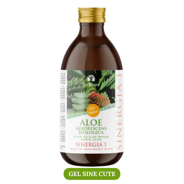 Aloe Arborescens Ricetta Padre Zago | SINERGIA 1 |  500ml - Gel Sine Cute