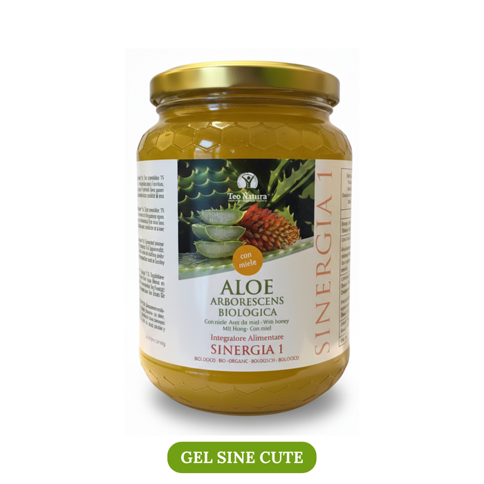 Aloe Arborescens Ricetta Padre Zago | SINERGIA 1 | 750ml - Gel Sine Cute