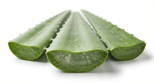 Feuilles d&