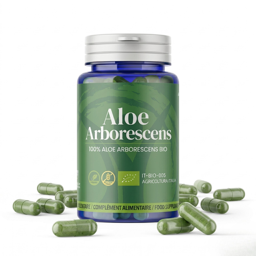 Aloe Arborescens Biologica in Capsule | 50 Capsule
