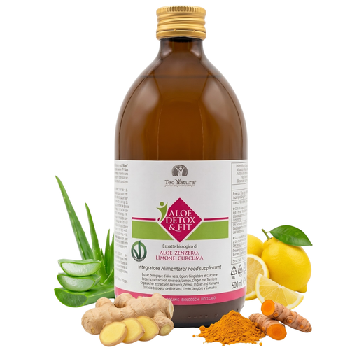 Détox & Fit – Jus Bio Aloé Véra, Gingembre, Citron et Curcuma | Dépuratif et Digestif