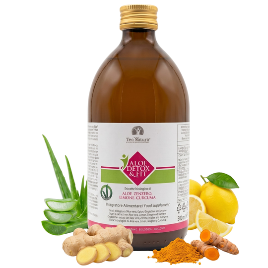Detox &amp; Fit – Succo Bio Aloe Vera, Zenzero, Limone e Curcuma | Depurativo e Digestivo