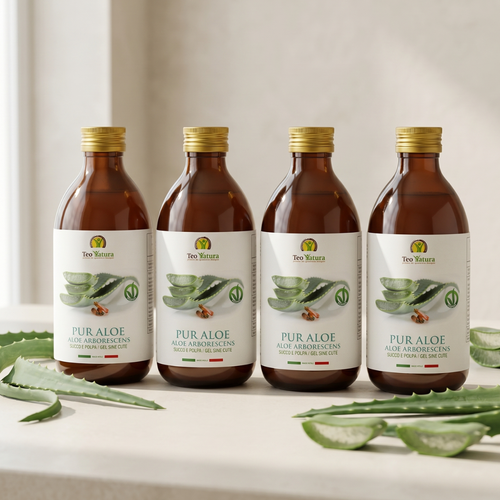 Cure détox à l'Aloès arborescent : Cycle complet | 4 bouteilles de 500 ml