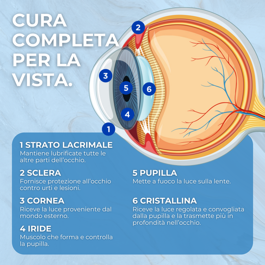 Integratore per la Vista con Luteina, Zinco e Vitamina C – Licopene da Pomodoro Camone e Mirtillo Nero – 60 Compresse